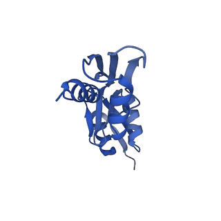 10040_6rwk_Z_v1-1
MxiD N0 N1 and MxiG C-terminal domains of the Shigella type 3 secretion system