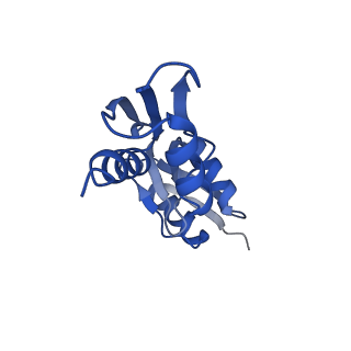 10040_6rwk_z_v1-1
MxiD N0 N1 and MxiG C-terminal domains of the Shigella type 3 secretion system