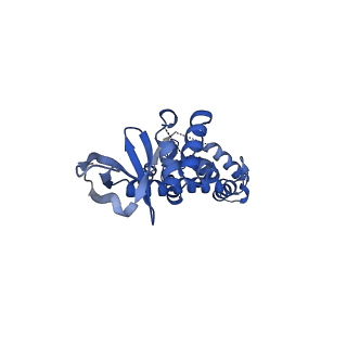 10043_6rwn_B_v1-3
SIVrcm intasome in complex with dolutegravir
