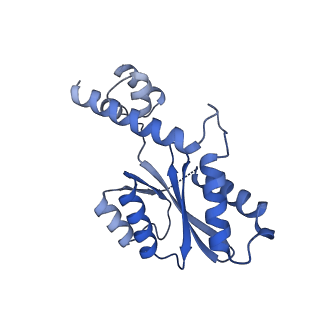 10043_6rwn_K_v1-3
SIVrcm intasome in complex with dolutegravir