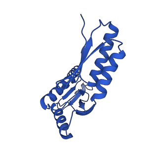 10045_6rwx_G_v1-1
Periplasmic inner membrane ring of the Shigella type 3 secretion system