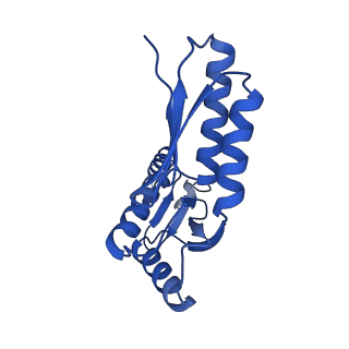 10045_6rwx_H_v1-1
Periplasmic inner membrane ring of the Shigella type 3 secretion system