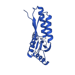 10045_6rwx_I_v1-1
Periplasmic inner membrane ring of the Shigella type 3 secretion system