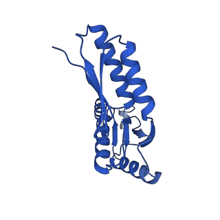 10045_6rwx_J_v1-1
Periplasmic inner membrane ring of the Shigella type 3 secretion system