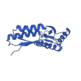 10045_6rwx_O_v1-1
Periplasmic inner membrane ring of the Shigella type 3 secretion system
