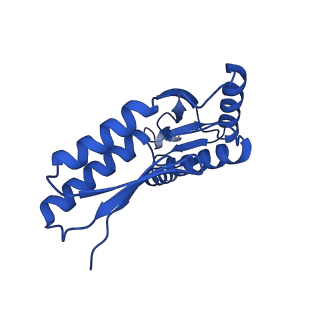 10045_6rwx_Q_v1-1
Periplasmic inner membrane ring of the Shigella type 3 secretion system