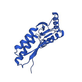 10045_6rwx_R_v1-1
Periplasmic inner membrane ring of the Shigella type 3 secretion system