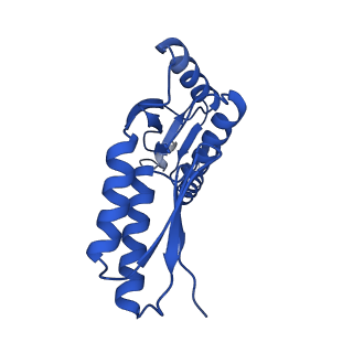 10045_6rwx_T_v1-1
Periplasmic inner membrane ring of the Shigella type 3 secretion system