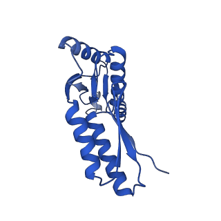 10045_6rwx_U_v1-1
Periplasmic inner membrane ring of the Shigella type 3 secretion system
