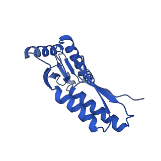 10045_6rwx_W_v1-1
Periplasmic inner membrane ring of the Shigella type 3 secretion system