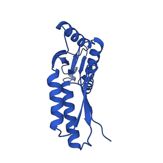 10045_6rwx_X_v1-1
Periplasmic inner membrane ring of the Shigella type 3 secretion system