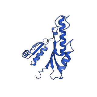 10045_6rwx_b_v1-1
Periplasmic inner membrane ring of the Shigella type 3 secretion system