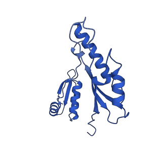 10045_6rwx_d_v1-1
Periplasmic inner membrane ring of the Shigella type 3 secretion system