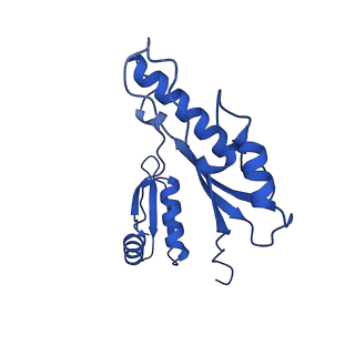 10045_6rwx_e_v1-1
Periplasmic inner membrane ring of the Shigella type 3 secretion system