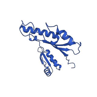 10045_6rwx_g_v1-1
Periplasmic inner membrane ring of the Shigella type 3 secretion system