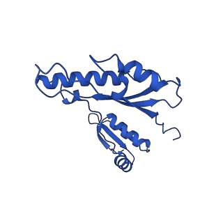 10045_6rwx_h_v1-1
Periplasmic inner membrane ring of the Shigella type 3 secretion system