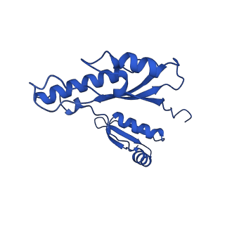 10045_6rwx_i_v1-1
Periplasmic inner membrane ring of the Shigella type 3 secretion system