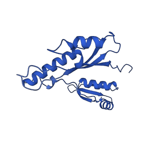 10045_6rwx_j_v1-1
Periplasmic inner membrane ring of the Shigella type 3 secretion system