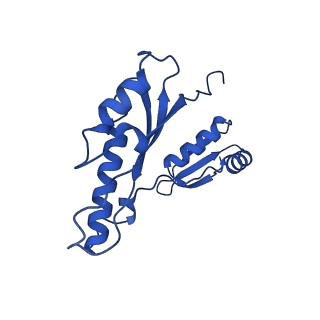10045_6rwx_m_v1-1
Periplasmic inner membrane ring of the Shigella type 3 secretion system