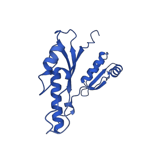 10045_6rwx_n_v1-1
Periplasmic inner membrane ring of the Shigella type 3 secretion system