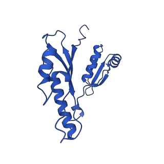 10045_6rwx_o_v1-1
Periplasmic inner membrane ring of the Shigella type 3 secretion system