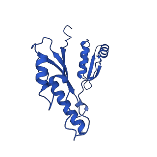 10045_6rwx_p_v1-1
Periplasmic inner membrane ring of the Shigella type 3 secretion system