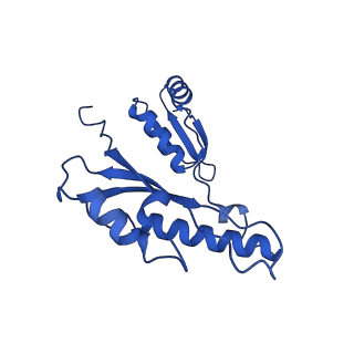 10045_6rwx_s_v1-1
Periplasmic inner membrane ring of the Shigella type 3 secretion system