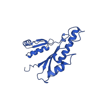 10045_6rwx_v_v1-1
Periplasmic inner membrane ring of the Shigella type 3 secretion system