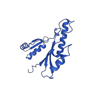 10045_6rwx_w_v1-1
Periplasmic inner membrane ring of the Shigella type 3 secretion system