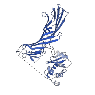 24710_7rw8_M_v1-2
AP2 bound to heparin in the closed conformation