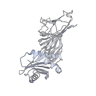 24712_7rwa_M_v1-2
AP2 bound to heparin and Tgn38 tyrosine cargo peptide
