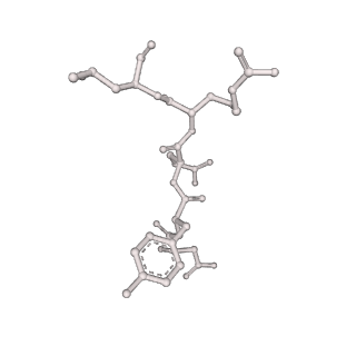 24712_7rwa_Y_v1-2
AP2 bound to heparin and Tgn38 tyrosine cargo peptide