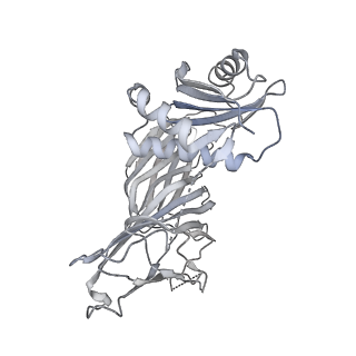 24712_7rwa_m_v1-2
AP2 bound to heparin and Tgn38 tyrosine cargo peptide