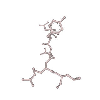24712_7rwa_y_v1-2
AP2 bound to heparin and Tgn38 tyrosine cargo peptide