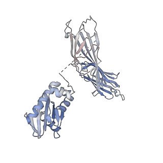 24713_7rwb_M_v1-2
AP2 bound to the APA domain of SGIP in the presence of heparin