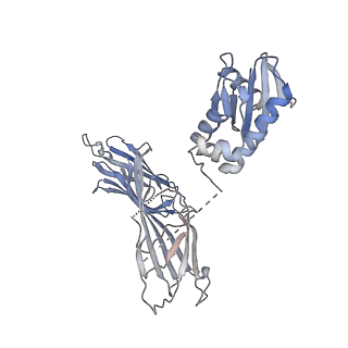 24713_7rwb_m_v1-2
AP2 bound to the APA domain of SGIP in the presence of heparin