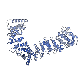 24714_7rwc_A_v1-2
AP2 bound to the APA domain of SGIP and heparin; partial signal subtraction and symmetry expansion
