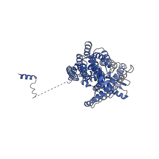 24717_7rwj_A_v1-1
afTMEM16 in C22 lipid nanodiscs with MSP2N2 scaffold protein in the presnece of Ca2+