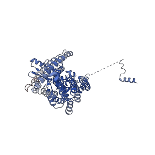 24717_7rwj_B_v1-1
afTMEM16 in C22 lipid nanodiscs with MSP2N2 scaffold protein in the presnece of Ca2+