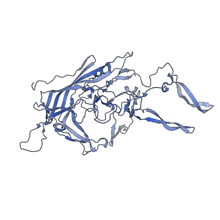 24718_7rwl_1_v1-0
Envelope-associated Adeno-associated virus serotype 2