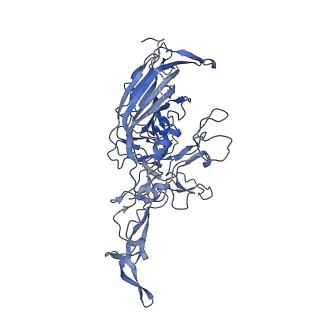 24718_7rwl_2_v1-0
Envelope-associated Adeno-associated virus serotype 2