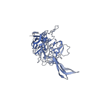 24718_7rwl_3_v1-0
Envelope-associated Adeno-associated virus serotype 2