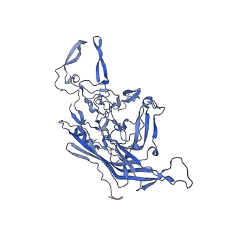 24718_7rwl_5_v1-0
Envelope-associated Adeno-associated virus serotype 2