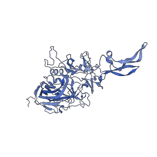 24718_7rwl_6_v1-0
Envelope-associated Adeno-associated virus serotype 2