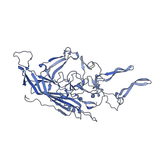 24718_7rwl_B_v1-0
Envelope-associated Adeno-associated virus serotype 2