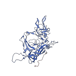 24718_7rwl_C_v1-0
Envelope-associated Adeno-associated virus serotype 2
