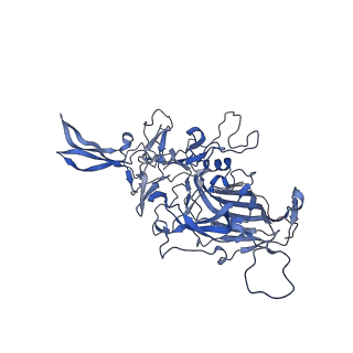 24718_7rwl_D_v1-0
Envelope-associated Adeno-associated virus serotype 2