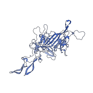 24718_7rwl_E_v1-0
Envelope-associated Adeno-associated virus serotype 2
