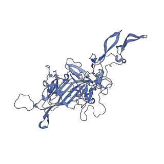 24718_7rwl_G_v1-0
Envelope-associated Adeno-associated virus serotype 2