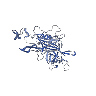 24718_7rwl_I_v1-0
Envelope-associated Adeno-associated virus serotype 2